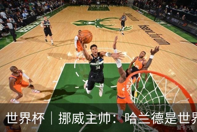 世界杯｜挪威主帅：哈兰德是世界上最好的射手
