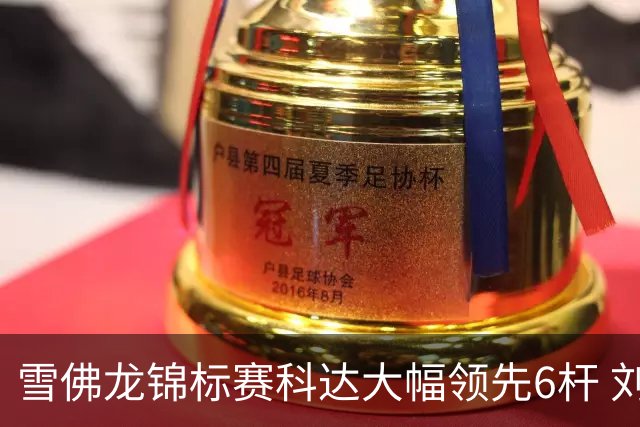 雪佛龙锦标赛科达大幅领先6杆 刘艳第六殷若宁T11